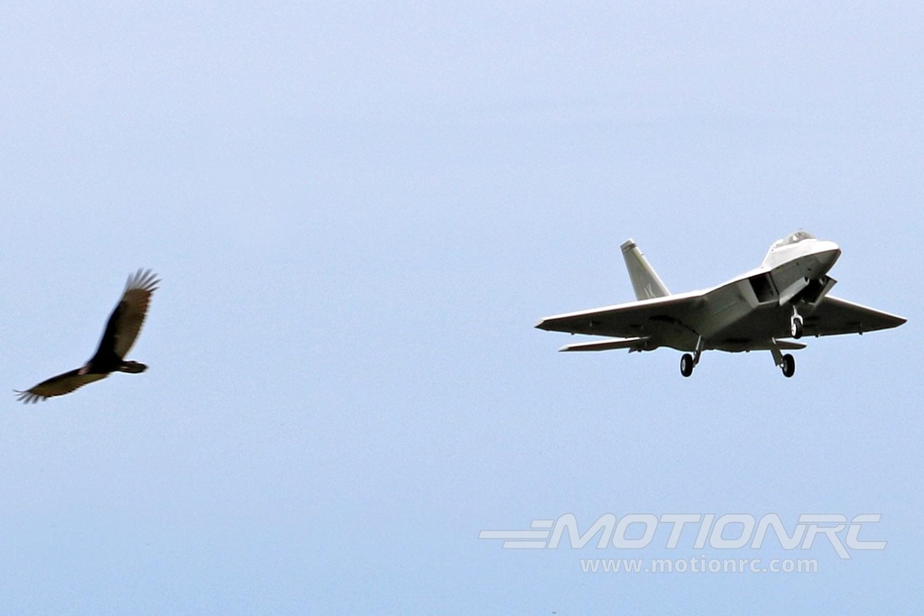 Freewing F-22 Raptor High Performance 70mm EDF Jet – PNP FJ22211P