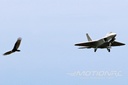 Freewing F-22 Raptor High Performance 70mm EDF Jet – PNP FJ22211P