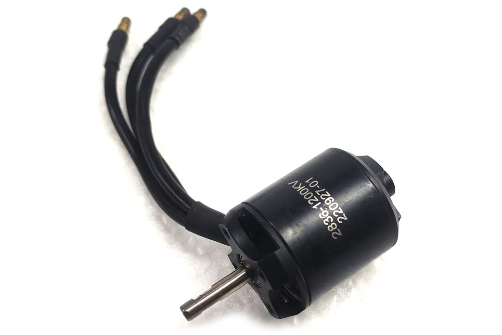 Skynetic 2000mm Andes Glider Brushless 2836-1200Kv Motor
