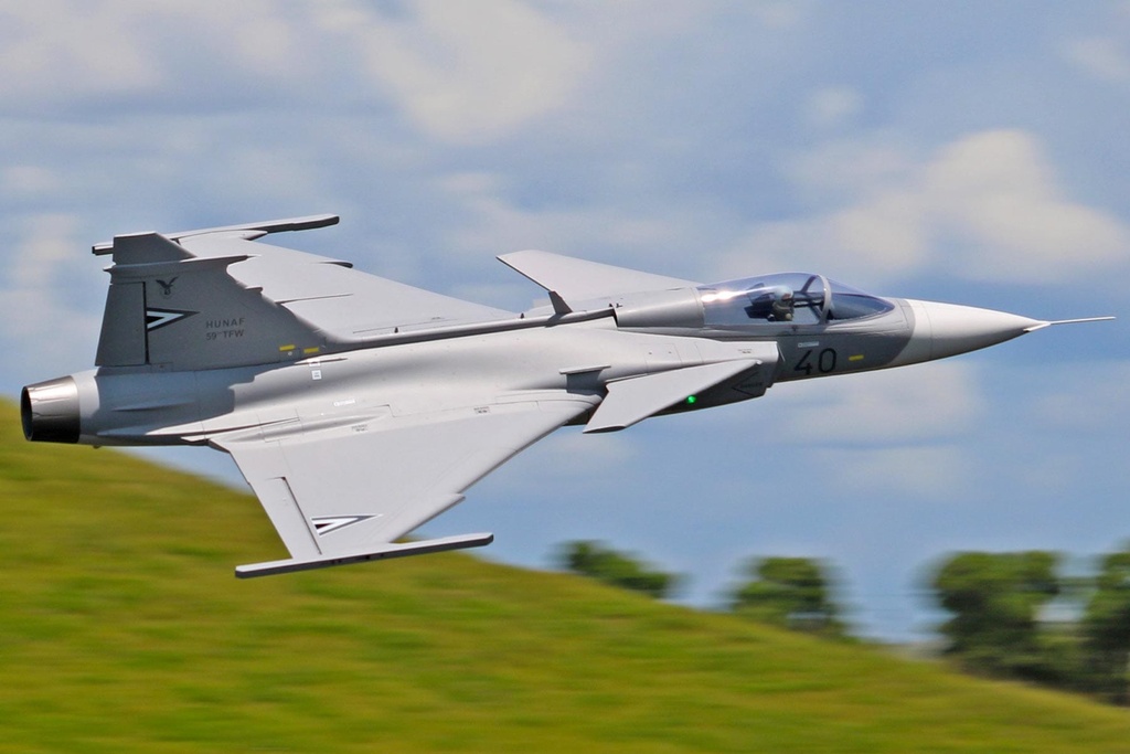 Freewing JAS-39 Gripen Grey 80mm EDF Jet - PNP