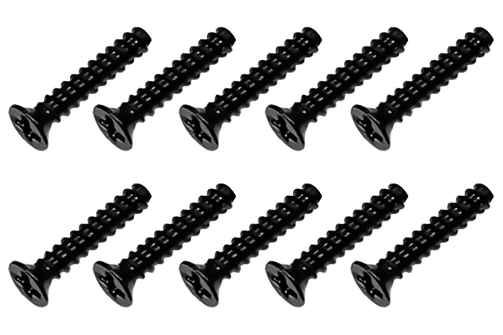 Primus Flat Head Screws 2 x 10mm (10)
