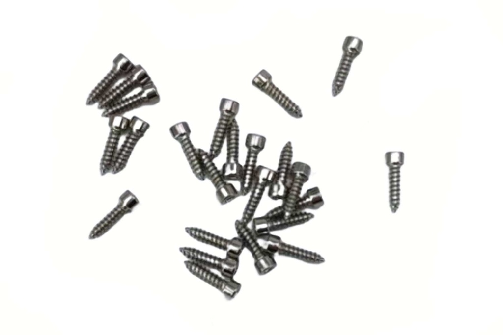 Primus Socket Head Self Tapping Screws 2.5 x 12 (24)