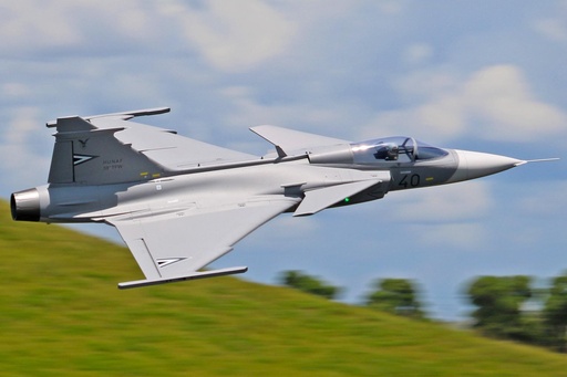 [FJ21825P] Freewing JAS-39 Gripen Grey 80mm EDF Jet - PNP