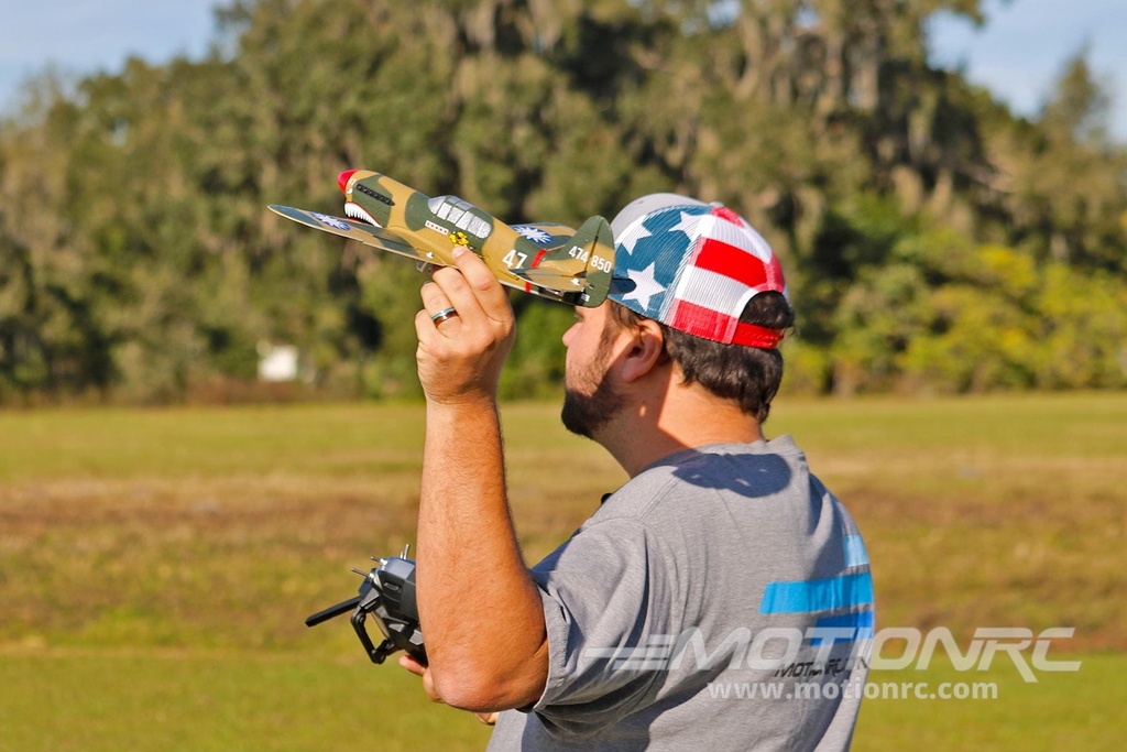 Skynetic P-40 EPP with Gyro 400mm (15.7") Wingspan - FTR SKY1057-002