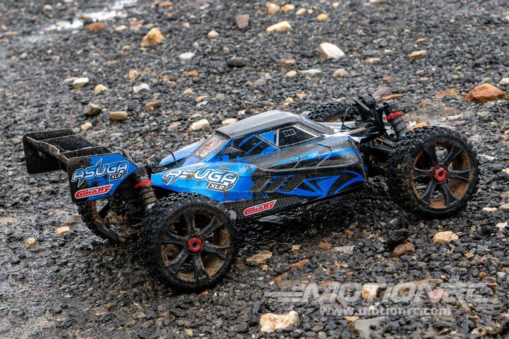 Team Corally Asuga XLR Blue Large Scale 4WD Monster Buggy - RTR COR00288-B