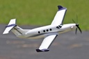 Skynetic Model 220 EPP with Gyro 450mm (17.7") Wingspan - RTF