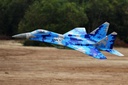 Black Horse Mig-29 Turbine 1635mm (64.4") Wingspan - ARF