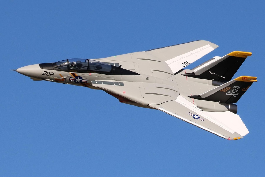 Freewing F-14 Tomcat Twin 64mm EDF Jet - ARF PLUS