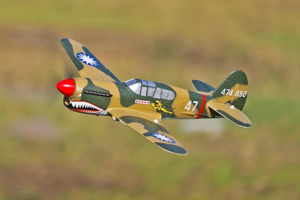 Skynetic P-40 EPP with Gyro 400mm (15.7") Wingspan - RTF