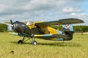 Black Horse Antonov An-2 2425mm (95.47") Wingspan - ARF