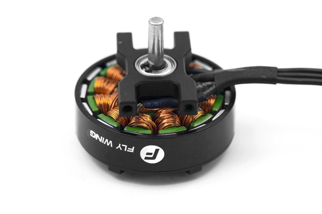 Fly Wing 450 Size Brushless Main Motor
