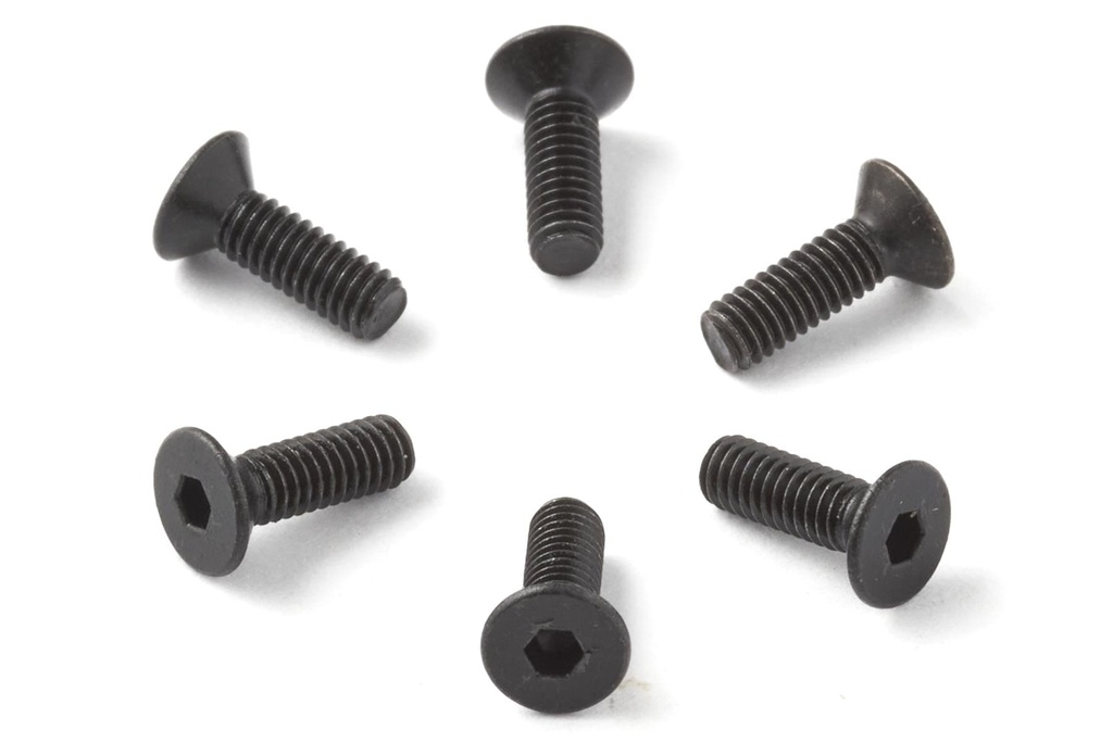 Roban M2.5 x 8mm Machine Screws (6 pack)