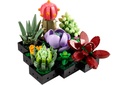 LEGO Icons Succulents